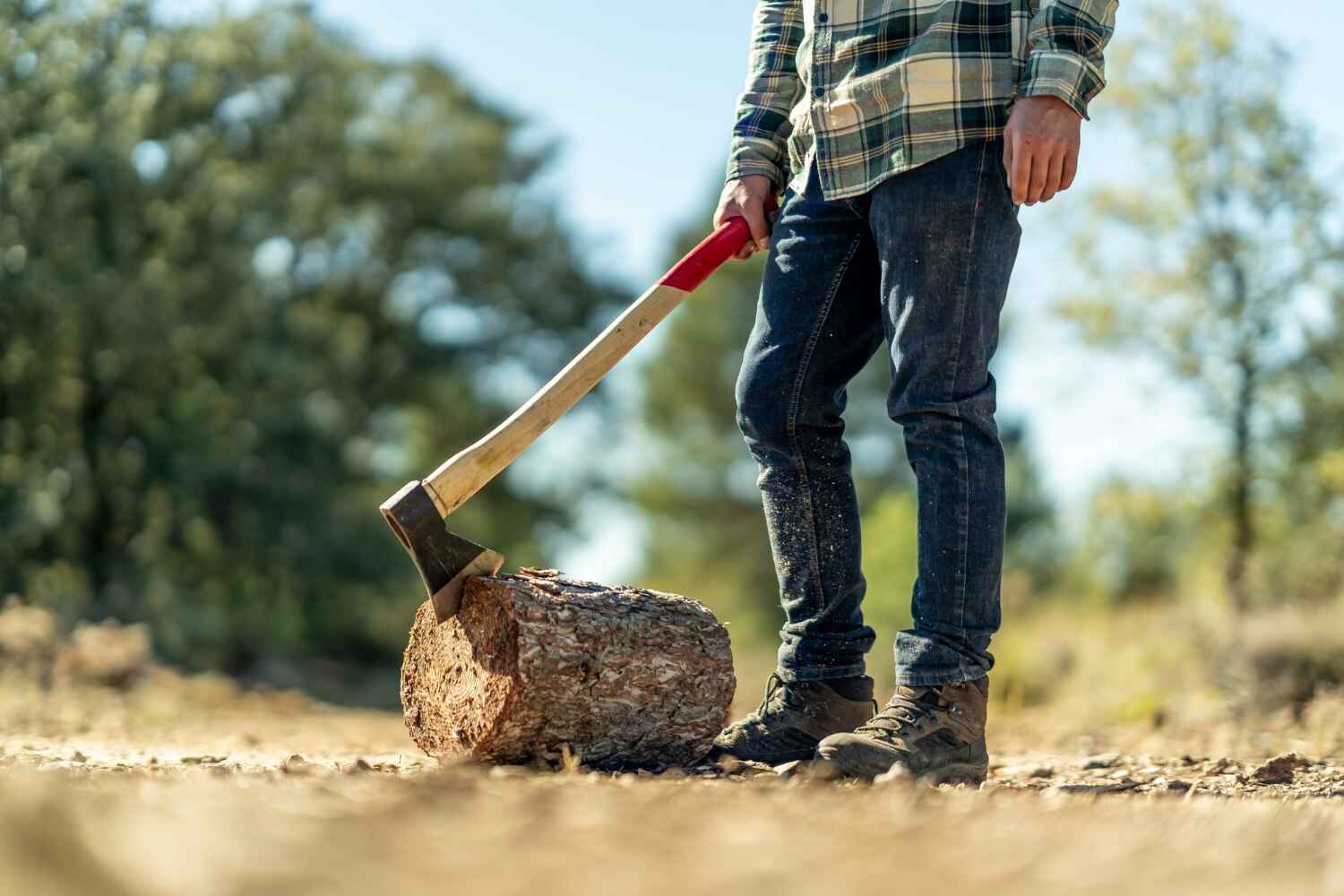 Best Large Tree Removal  in Poinciana, FL